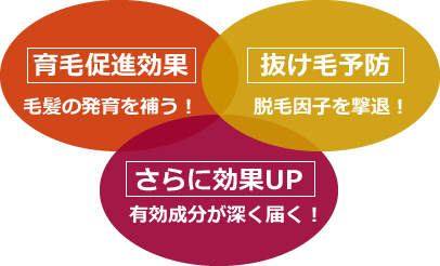 育毛促進効果・抜け毛予防・さらに効果アップ