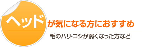 ヘッドが気になる方におすすめ-毛のハリ・コシが弱くなった方など